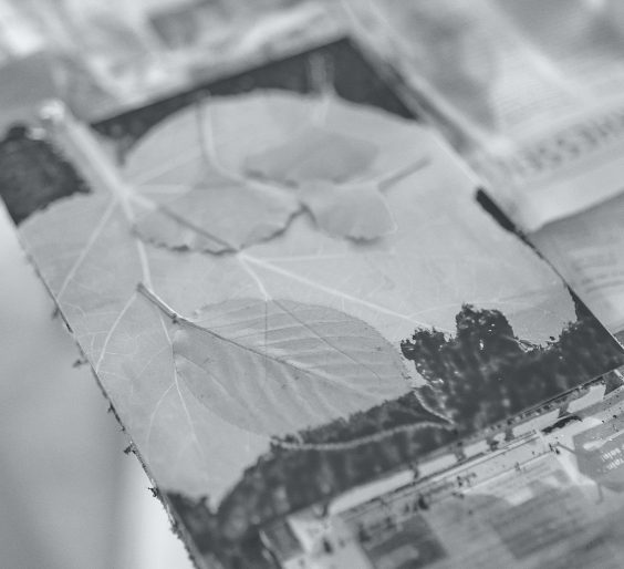 Radierkurs in der Freien Kunstakademie Frankfurt